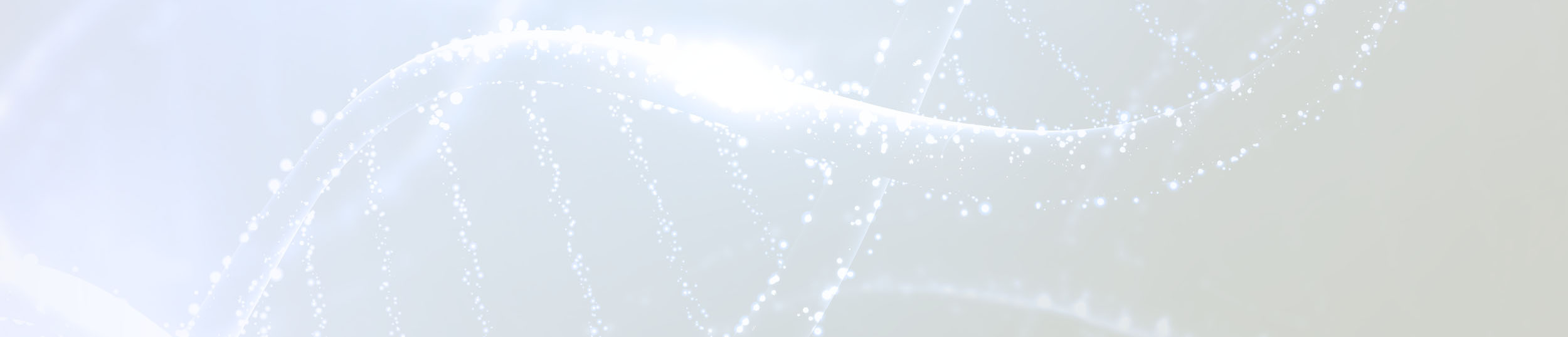 productos de peluquería para profesionales